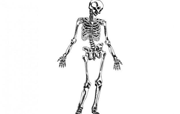 Paranthropus boisei hand Tanzania drawn skeleton with background about Olduvai Gorge Human evolution